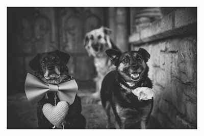 FLARE PROJECT, VISUAL ART & PHOTOGRAPHY