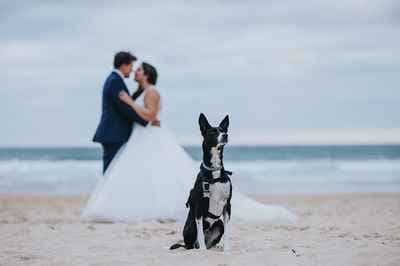 El Encuadre Perfecto