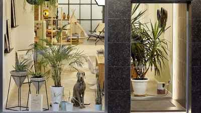 Belton Studio - Estudio de fotografía y productora de vídeo