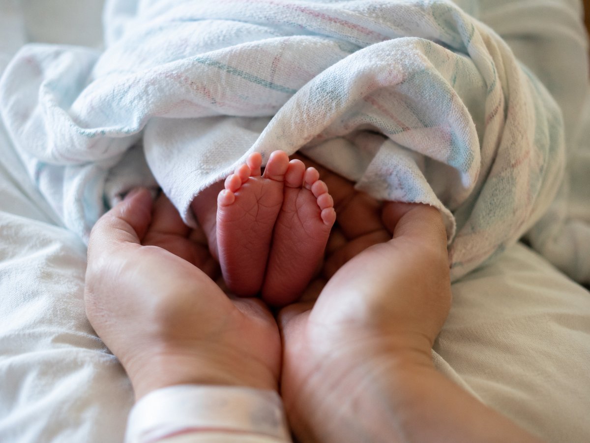 Primer plano de las manos y pies de un recién nacido en el hospital, luz natural suave